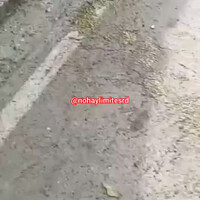 diberakin-burung-diberakin-sapi