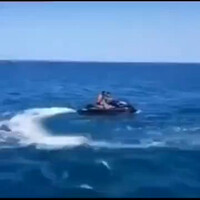 jetski-meleduk-gan