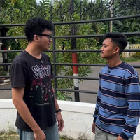 kodok-habis-hujan