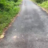edisi-kocheng-capek-jalan-mending-nebeng-motor-aja-dah