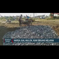 harga-anjlok-ikan-dibuang-nelayan