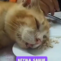 cobaan-puasa-versi-kocheng