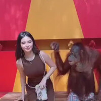 monyet-yang-beruntung