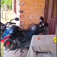 mpusssmahh