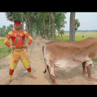 kerandoman-orang-india