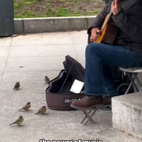 the-power-of-music