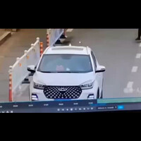 saat-doggy-mencuri-mobil
