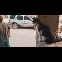 bless-you-hooman