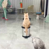 this-chain-of-events