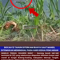 bocah-12-tahun-diterkam-buaya--ditemukan-tewas-pada-hari-ke2-pencarian