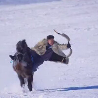 mongolian-archer