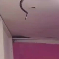 kamar-kosan-siape-nih