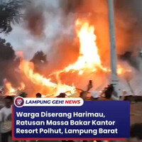 warga-diserang-harimau-massa-bakar-kantor-resort-polhut-suoh-lampung-barat