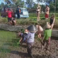 setuju-ga-agan-kalo-petani-dimari-diganti-buls-e-n-s-o-r