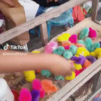 kirain-mau-disayang2-ternyata-ending-yang-membagongkan