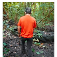 cobain-deh-agan-masuk-ke-dalam-pohon-berusia-1-milenium