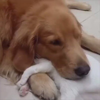 holdin-on-to-each-other