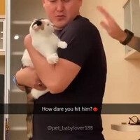 begini-nih-kalau-kucing-cemburu