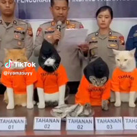 akhirnya-genk-oyen-tertangkap-juga