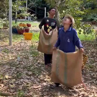 nangkep-duren-gan-meleset-dikit-kena-kepala-bisa-buyar