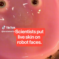 robot-berkulit-manusia-buatan-jepang