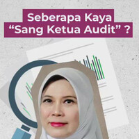 tentang-tukang-audit
