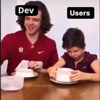 dev-vs-user
