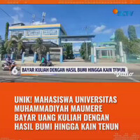 mahasiswa-univ-muhammadiyah-maumere-bisa-bayar-kuliah-pakai-kaim-tenun