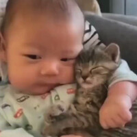 kucing-dan-bayi-ini-terlihat-sangat-bersahabat
