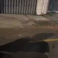 kok-jadi-gemoi-kebanyakan-mager-monster-lagi-sepi