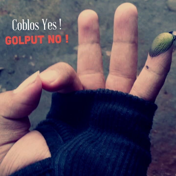 Saatnya Gunakan Hak Pilih Suara Anda Jangan Golput Gan! #NyoblosGan
