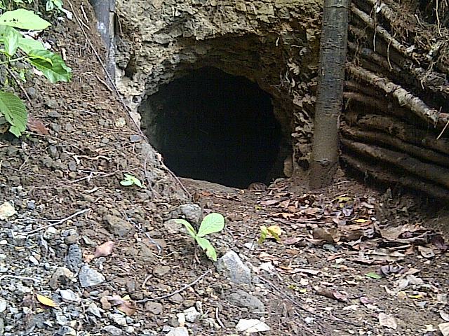 Lubang Galian Batu Bacan Di Pulau Kasiruta