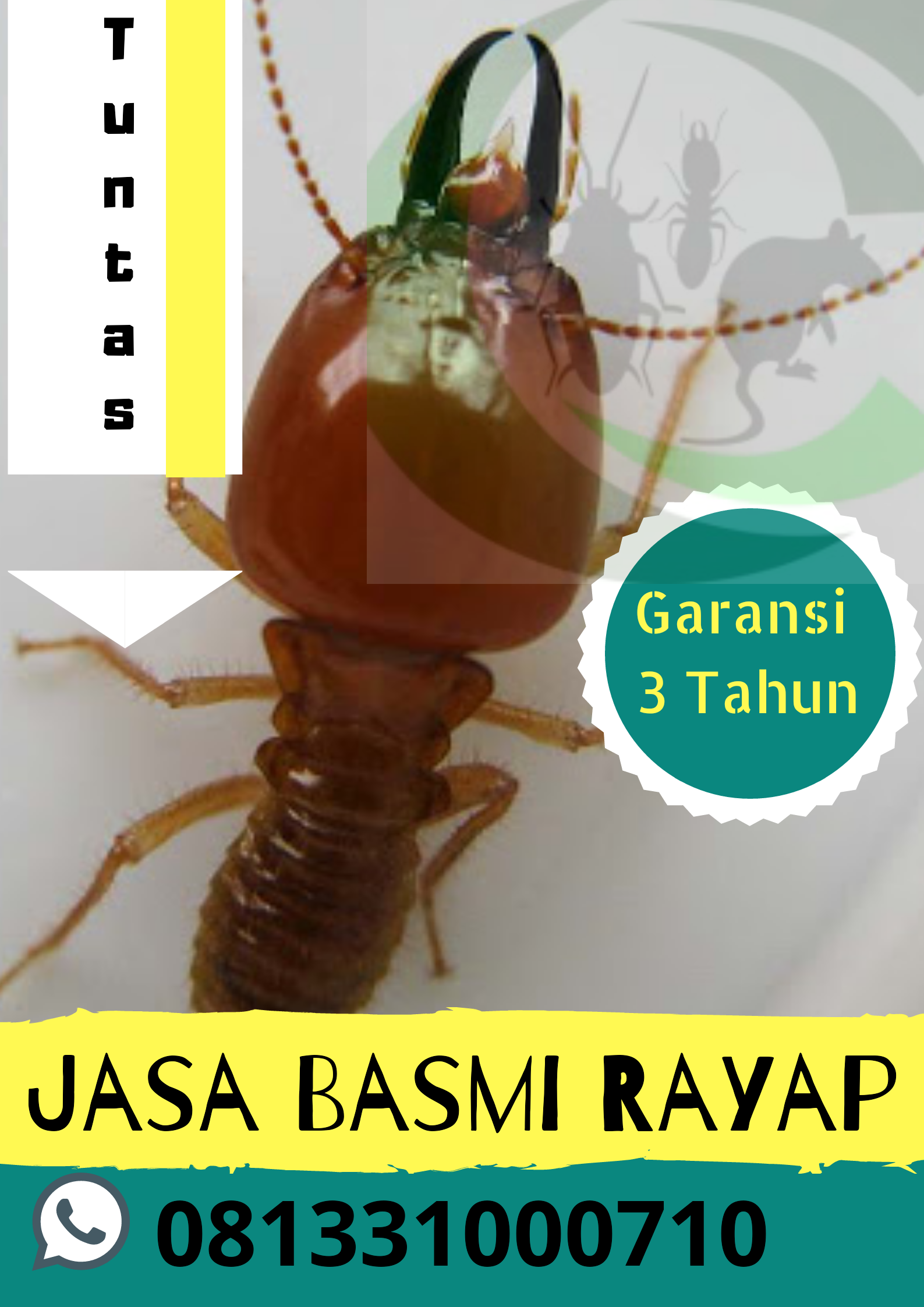 Jangan Sampai Rayap Merusak Aset Anda