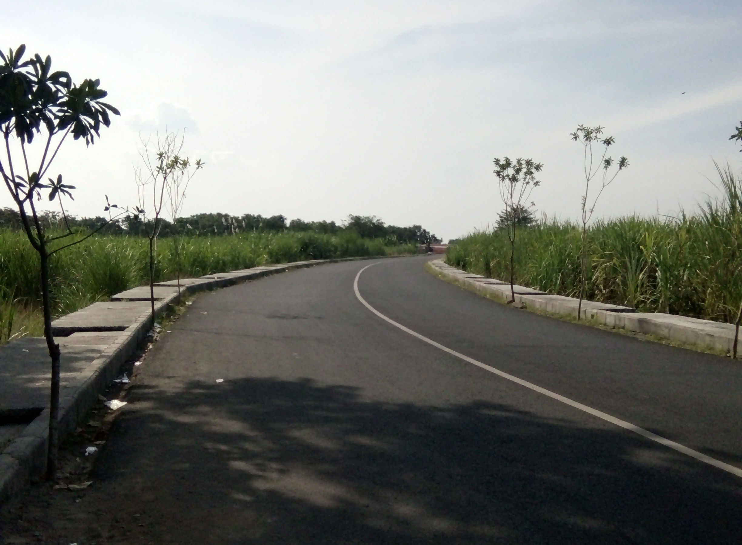 Jalan Desa Trowulan