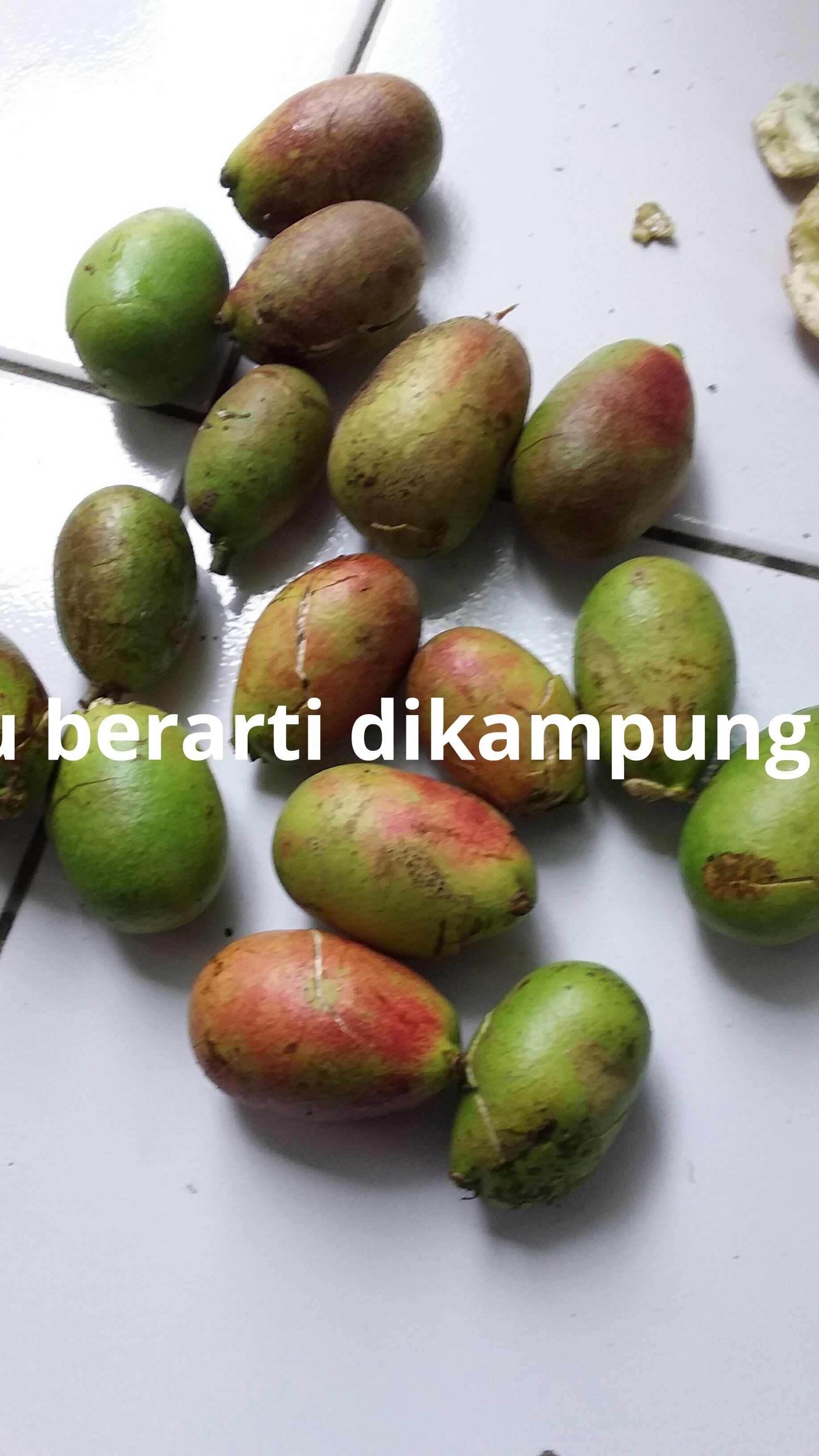 Buah Pa Ini