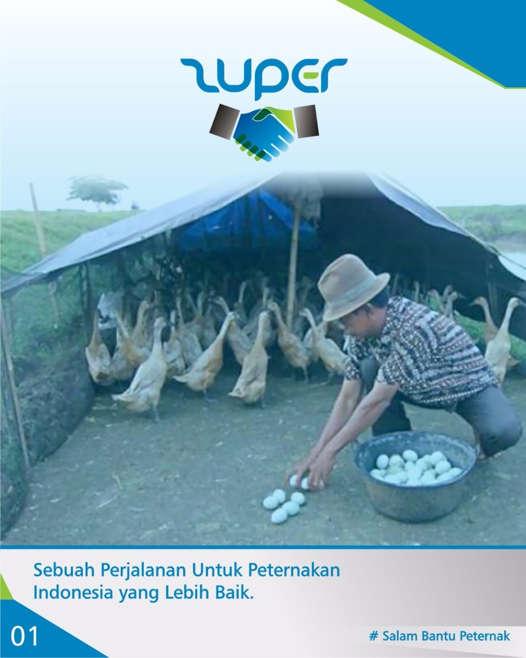 Investasi Peternakan Membantu Petani Indonesia