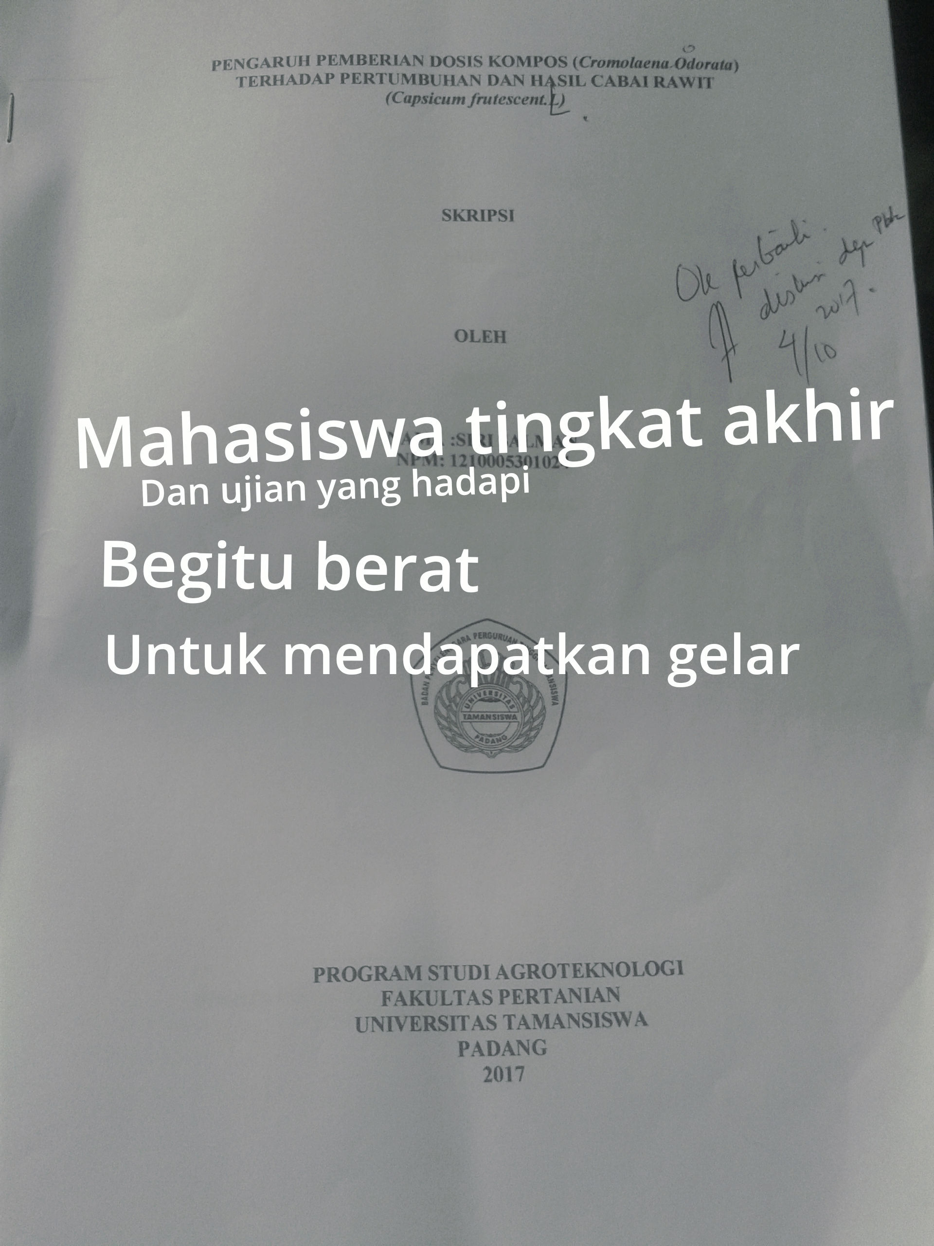 Mahasiswa Tingkat Atas