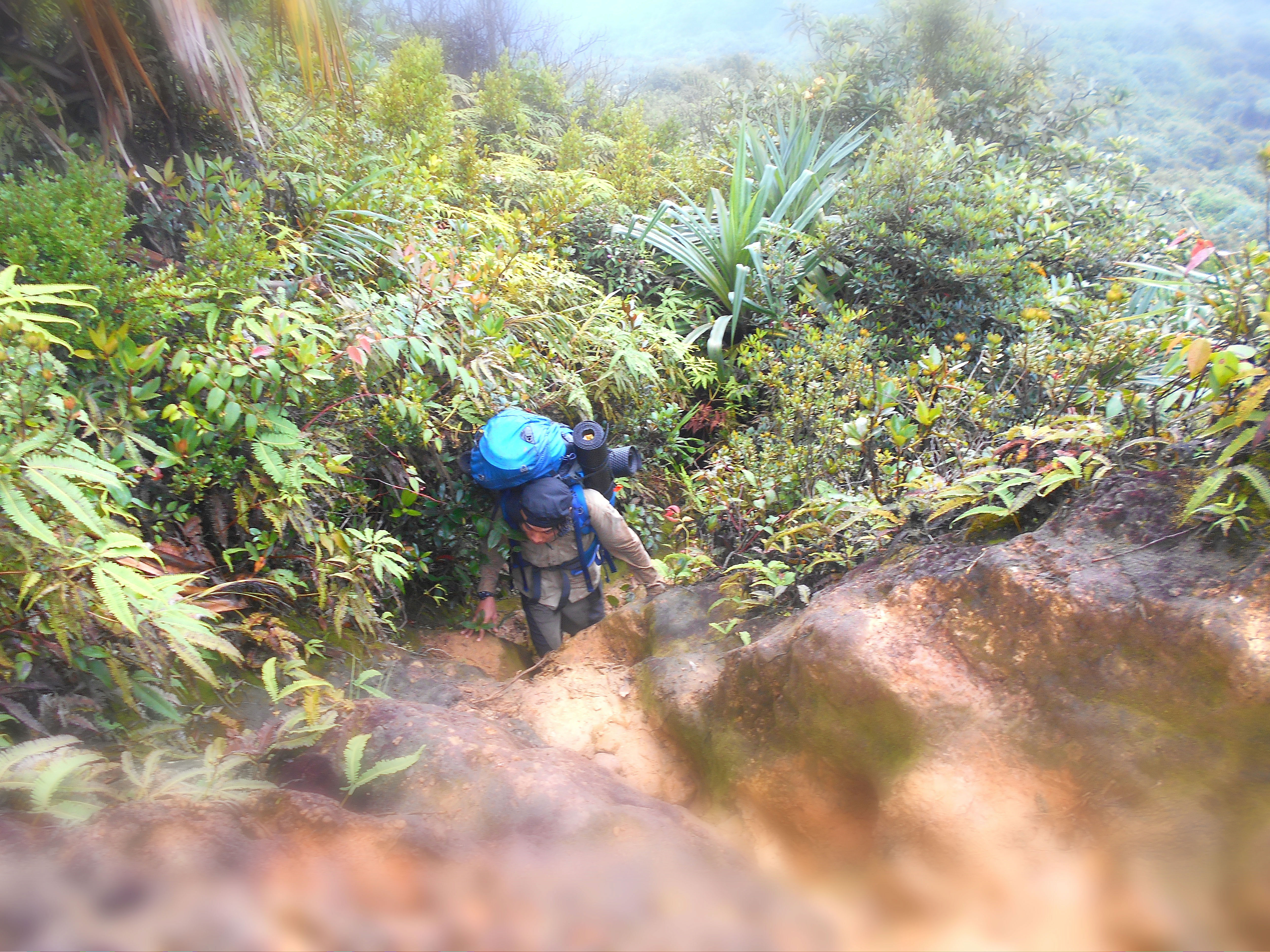 Pendakian Gn. Sibayak 2098 mdpl via Jalur 54 Kab. Karo SUMUT