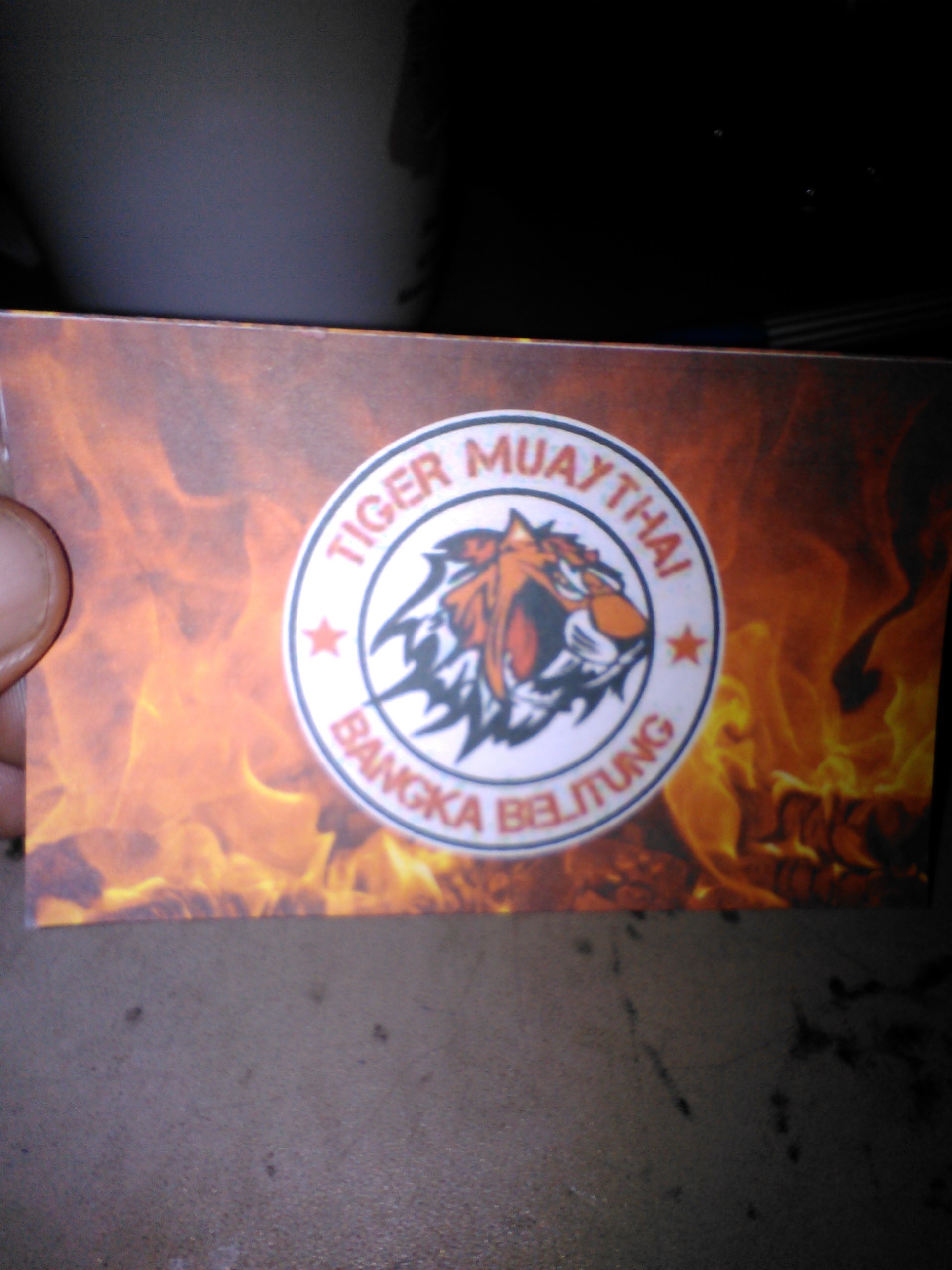 Tiger Muaythai Bangka Belitung