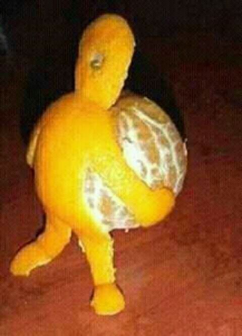 Awas Gan!!!! Ada Jeruk Nyuri Jeruk Gan...