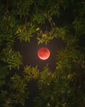 Potret Gerhana Bulan Merah