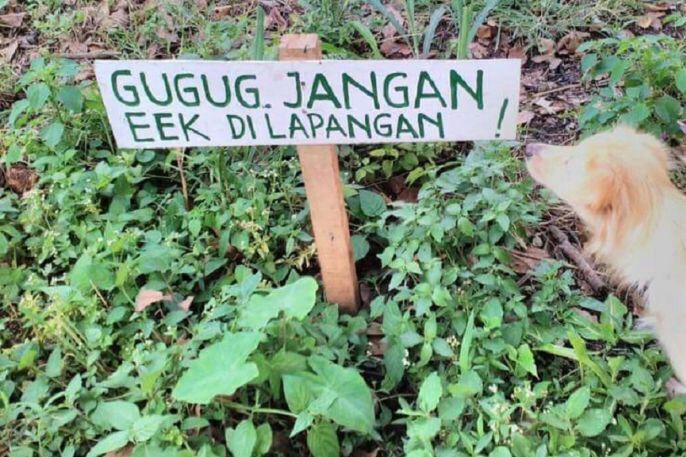 Papan Tulisan Larangan Yang Membuat Anjing Besar Ini Bingung