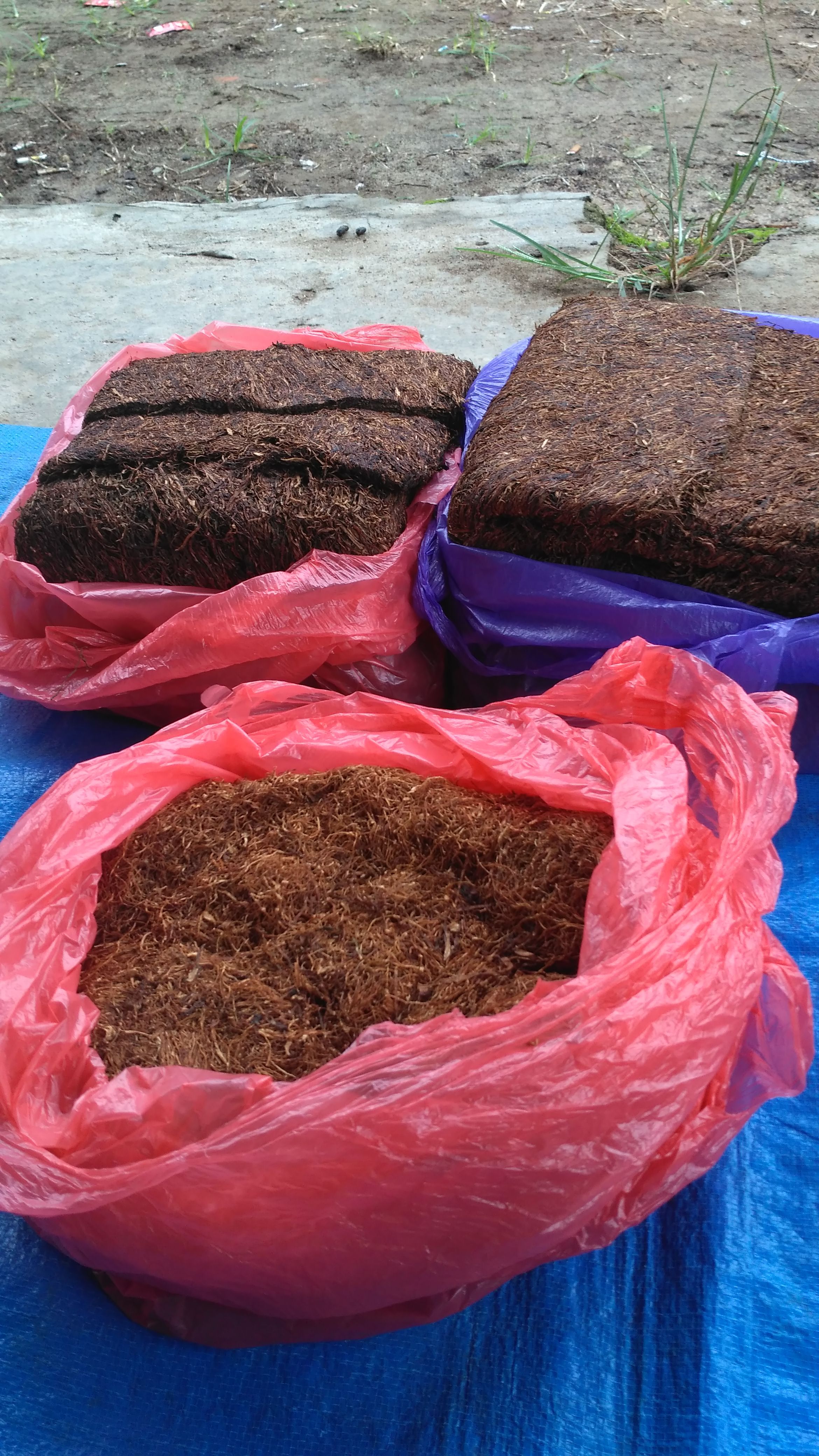 Penjual Tembakau Indonesia Yg Hobi Ngaskus Doanya Gan Biar Laris Manis