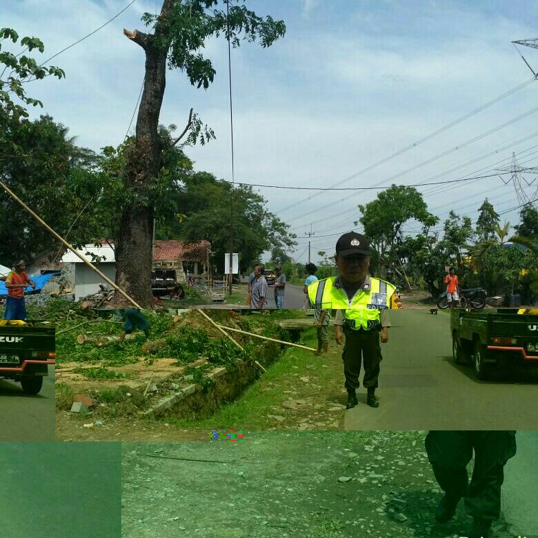 Giat Atur Lalin Penebangan Pohon Desa Salagedang  KASKUS