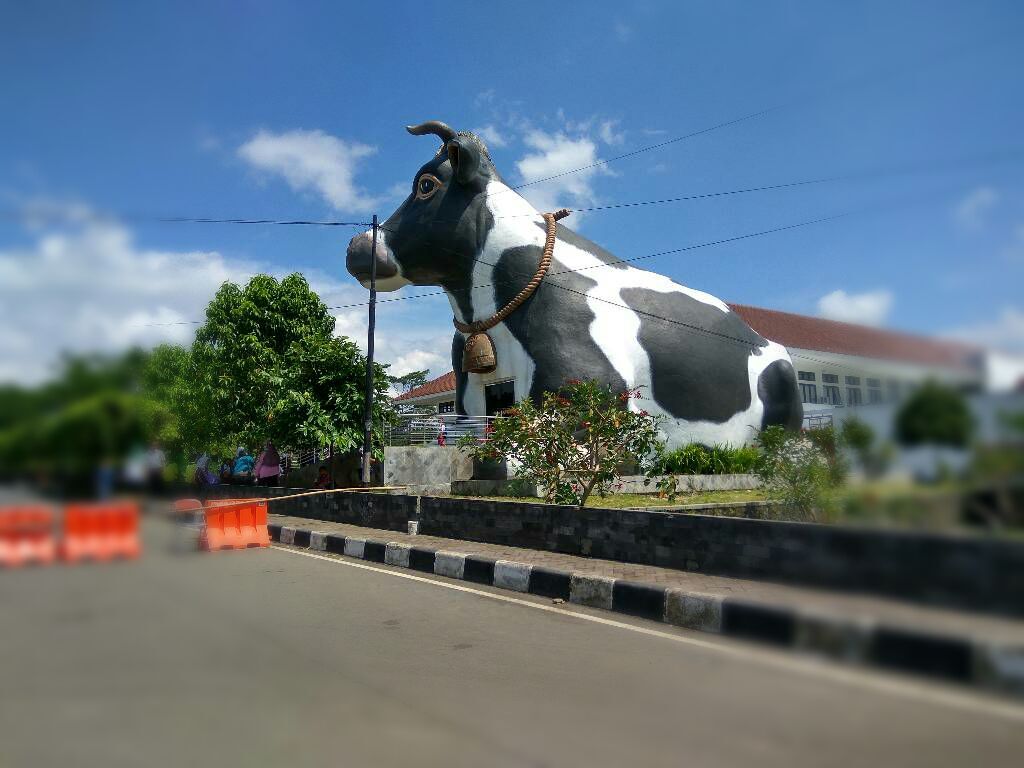 Sapi Raksasa
