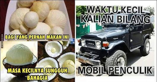 Mobil Culik