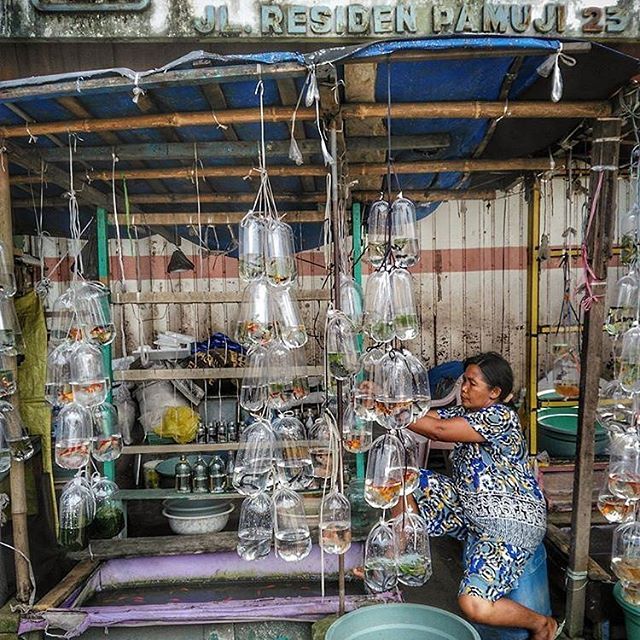 Penjual Ikan Hias Di Depan Pasar Tanjung Kaskus