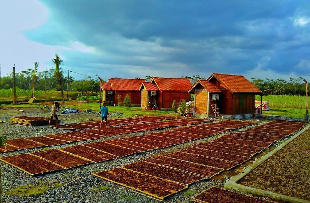 Magelangku Kota Panjang Umur