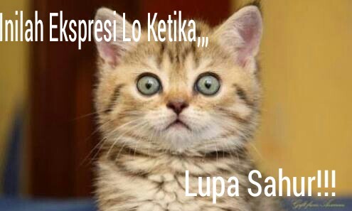 Nggaksahur Lupa ane