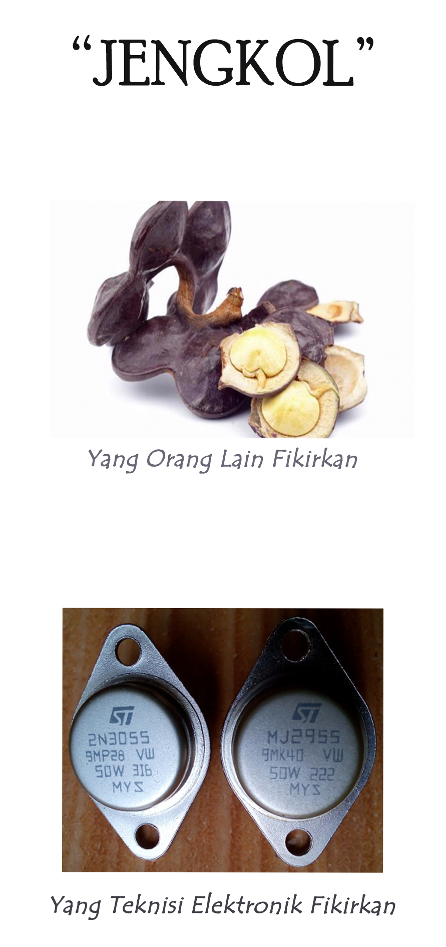 JENGKOL Yang Berbeda